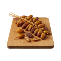 Date Palm