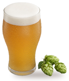 IPA