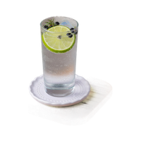 Gin